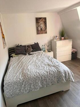 Foto - 1 12 ZKB Wohnung Borken (Hessen)-Großenenglis