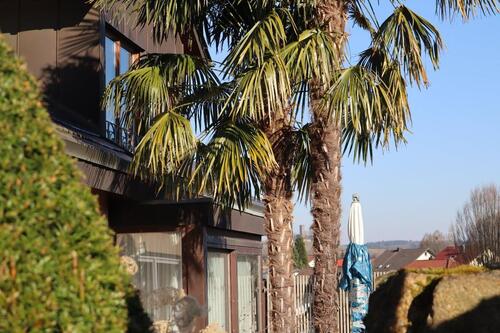 Foto - 7 Zimmer Einfamilienhaus in Sulzfeld
