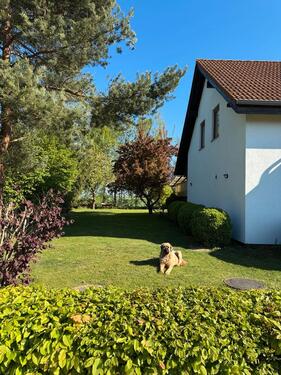 Foto - Einfamilienhaus in Börßum