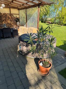 Foto - Einfamilienhaus in Börßum zum Kaufen