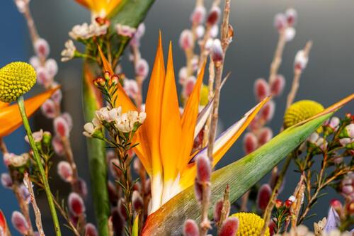 Foto - andere in Berlin