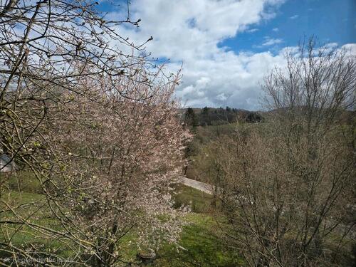 Foto - 2 Zimmer Terassenwohnung - 750,00&nbsp;EUR Kaltmiete, ca.&nbsp; 60,00&nbsp;m&sup2;