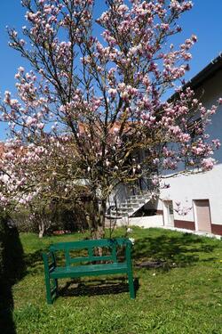 Foto - ELW 4 ZKB, Terrasse und Garten in Großgarnstadt zu vermieten