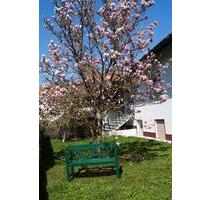 ELW 4 ZKB, Terrasse und Garten in Großgarnstadt zu vermieten - Ebersdorf bei Coburg