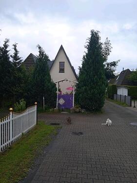 Foto - 4 Zimmer Einfamilienhaus zum Kaufen in Greven