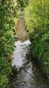 Foto - Schrebergarten, Garten, Gartenland, Ackerland