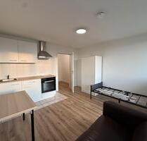 Renoviertes 1-Zimmer-Apartment in Lahr - möbliert - 6,1% Rendite - Lahr (Schwarzwald)