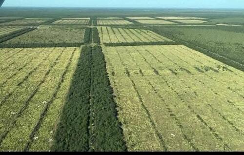 Foto - Investitionsoase im Herzen Südamerikas: 12500 Ha.