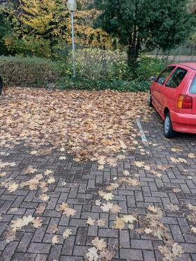 Foto - Auto Stellplatz LD Hagenauerstr.