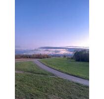 Vermiete 3 Zimmer Wohnung in Rastatt 1200 Warmmiete