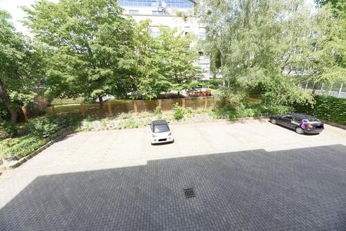 Foto - andere in Dresden
