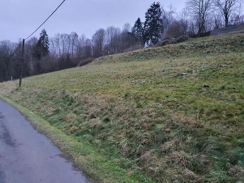 Foto - Grundstück 5.000 m² in sonniger Lage Stadtrand von Schmalkalden