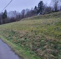 Grundstück 5.000 m² in sonniger Lage Stadtrand von Schmalkalden