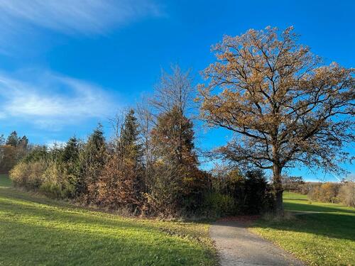 Foto - Wochenend Gartengrundstück Freizeitgrundstück zur Verpachten
