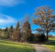 Wochenend Gartengrundstück Freizeitgrundstück zur Verpachten - Kirchhundem