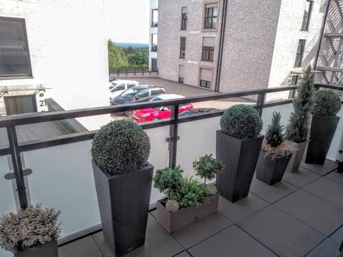 Foto - 2 Zimmer Erdgeschoßwohnung in Tecklenburg