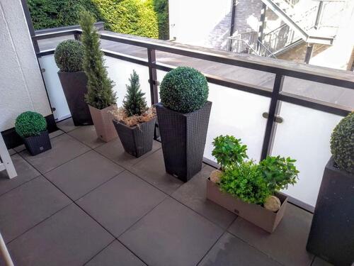 Foto - Erdgeschoßwohnung in Tecklenburg zur Miete