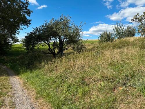 Foto - Wunderschönes Freizeitgrundstück im Odenwald zu vermieten.