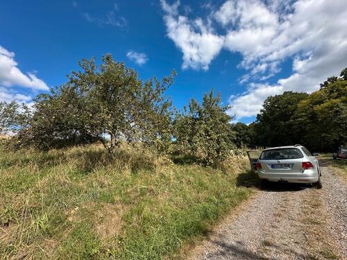 Foto - Grundst&uuml;ck zur Miete in Brensbach