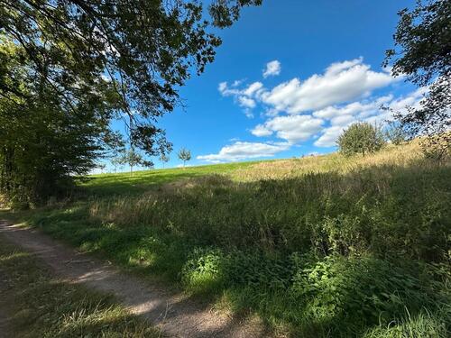 Foto - Grundst&uuml;ck in Brensbach