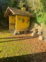 Foto - 