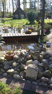 Foto - Mehrfamilienhaus, Wohnhaus in Langlingen zum Kaufen