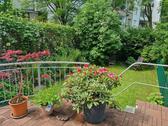 Foto - 2,5-Zimmerwohnung in der Bonner Weststadt