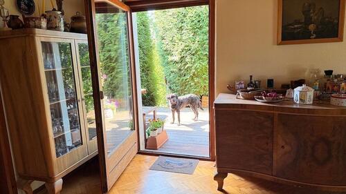Foto - Einfamilienhaus in Gemünden (Wohra) zum Kaufen