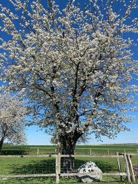 Foto - 3 Zimmer Etagenwohnung zur Miete in Bad Wünnenberg
