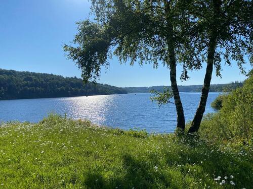 Foto - 3 Zimmer Etagenwohnung in Bad Wünnenberg