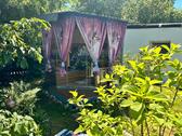 Foto - 7 Zimmer Einfamilienhaus zum Kaufen in Lauingen (Donau)