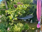 Foto - 7 Zimmer Einfamilienhaus in Lauingen (Donau)