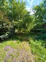 Foto - Einfamilienhaus in Luckenwalde zum Kaufen