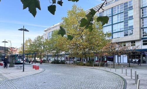 Foto - Große Chance auf großer Fläche!! 149 m² direkt am Sterncenter in Potsdam