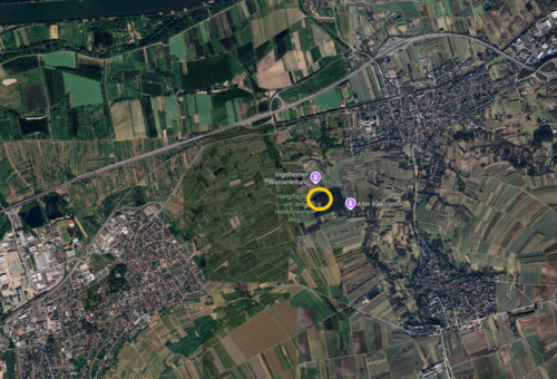 Foto - Grundstück in Ingelheim am Rhein