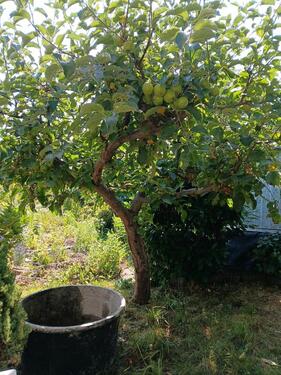 Foto - Grundstück zur Miete in Merseburg