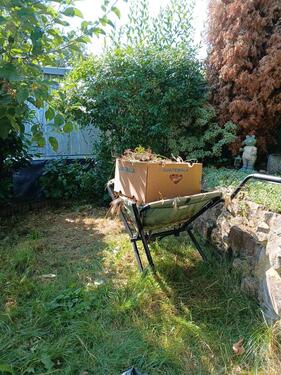 Foto - Grundstück in Merseburg zur Miete