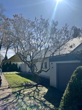 Foto - 5 Zimmer Einfamilienhaus in Gettorf