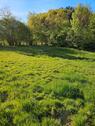 Foto - Wiese Acker Schrebergarten - 50,00&nbsp;EUR Kaltmiete, ca.&nbsp; 0,00&nbsp;m&sup2;