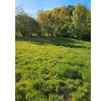 Wiese Acker Schrebergarten - 50,00&nbsp;EUR Kaltmiete, ca.&nbsp; 0,00&nbsp;m&sup2; in Leopoldshöhe (PLZ: 33818)