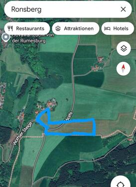 Foto - Grünlandfläche in der Gemarkung Ronsberg