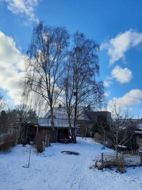 Foto - 1.5 Zimmer Erdgeschoßwohnung zur Miete in Emkendorf