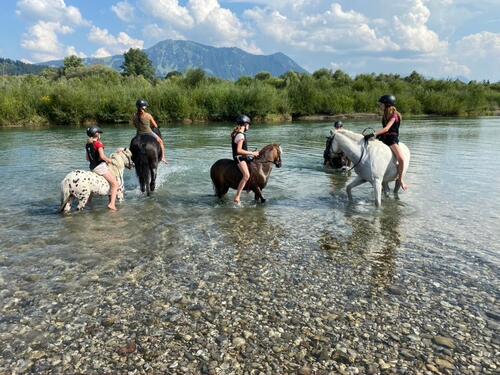 Foto - Pferdestallungen Pferdeboxen Weide