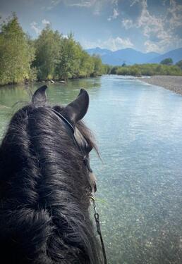 Foto - Grundstück zur Miete in Immenstadt im Allgäu