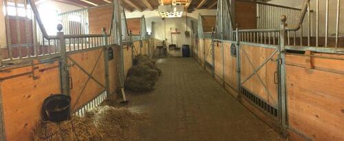 Foto - Grundstück in Immenstadt im Allgäu zur Miete