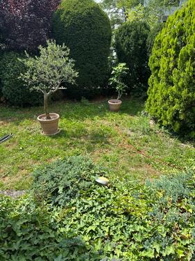 Foto - Etagenwohnung in Viernheim zur Miete