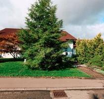 2 ruhige 2 Zi-Wohnungen im OG Sulz-Bergfelden, 45 + 60 qm - Sulz am Neckar