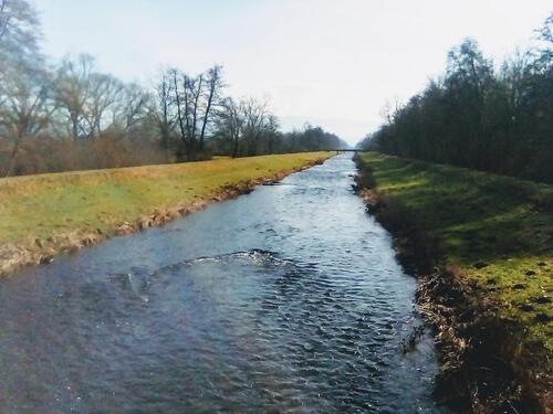 Foto - 1 Zimmer Wohnung in March bei Freiburg
