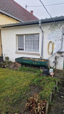 Foto - 4 Zimmer Einfamilienhaus zum Kaufen in Neuhofen