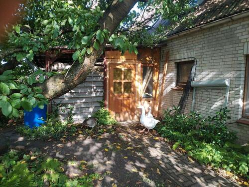 Foto - Etagenwohnung in Langendorf